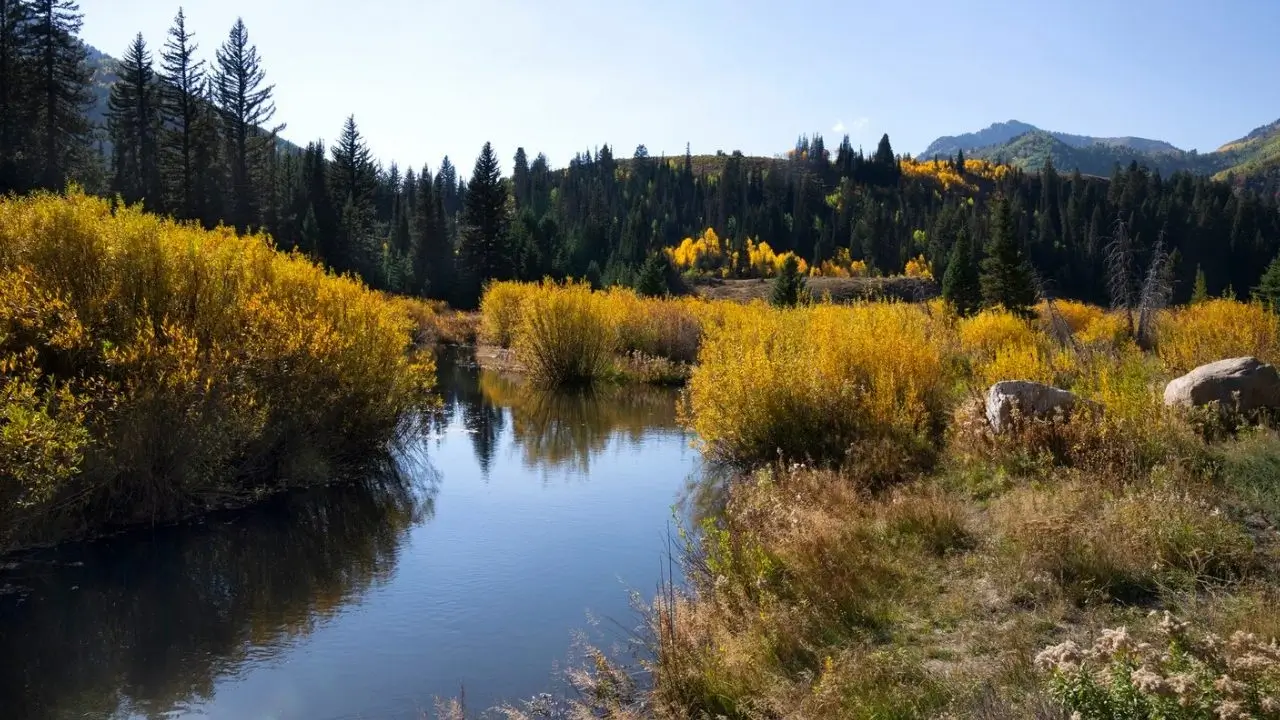 Vosges et ses paysages